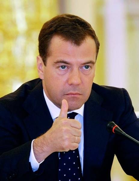 Медведев одобрил идею застроить Россию деревянными домами