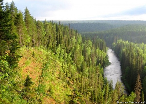 Климат и растительный мир Архангельской области